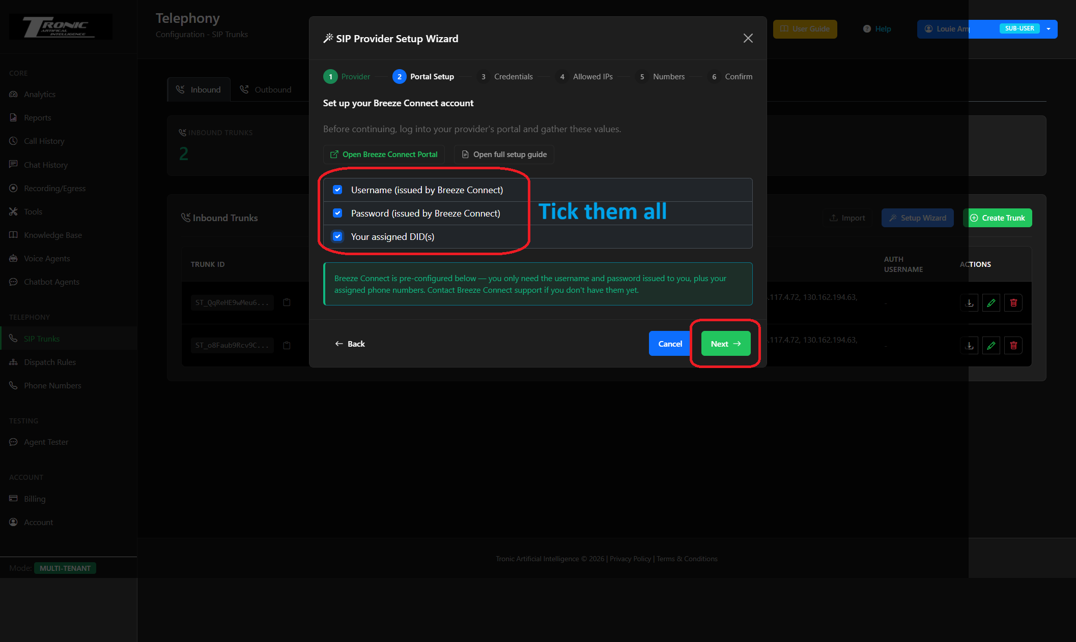 SIP Provider Setup Wizard - Portal Setup step, tick username, password and assigned DIDs