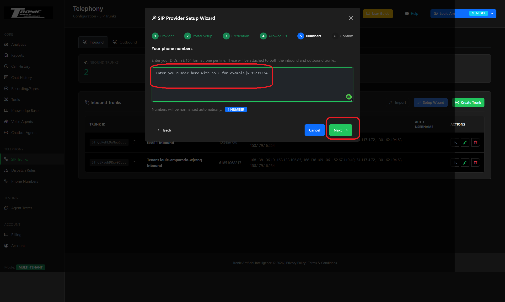 SIP Provider Setup Wizard - Numbers step, enter DIDs one per line with no plus